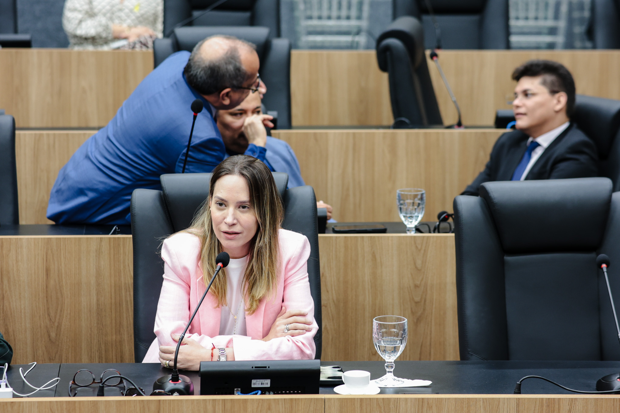 SESSÃO PLENÁRIA (16).jpg