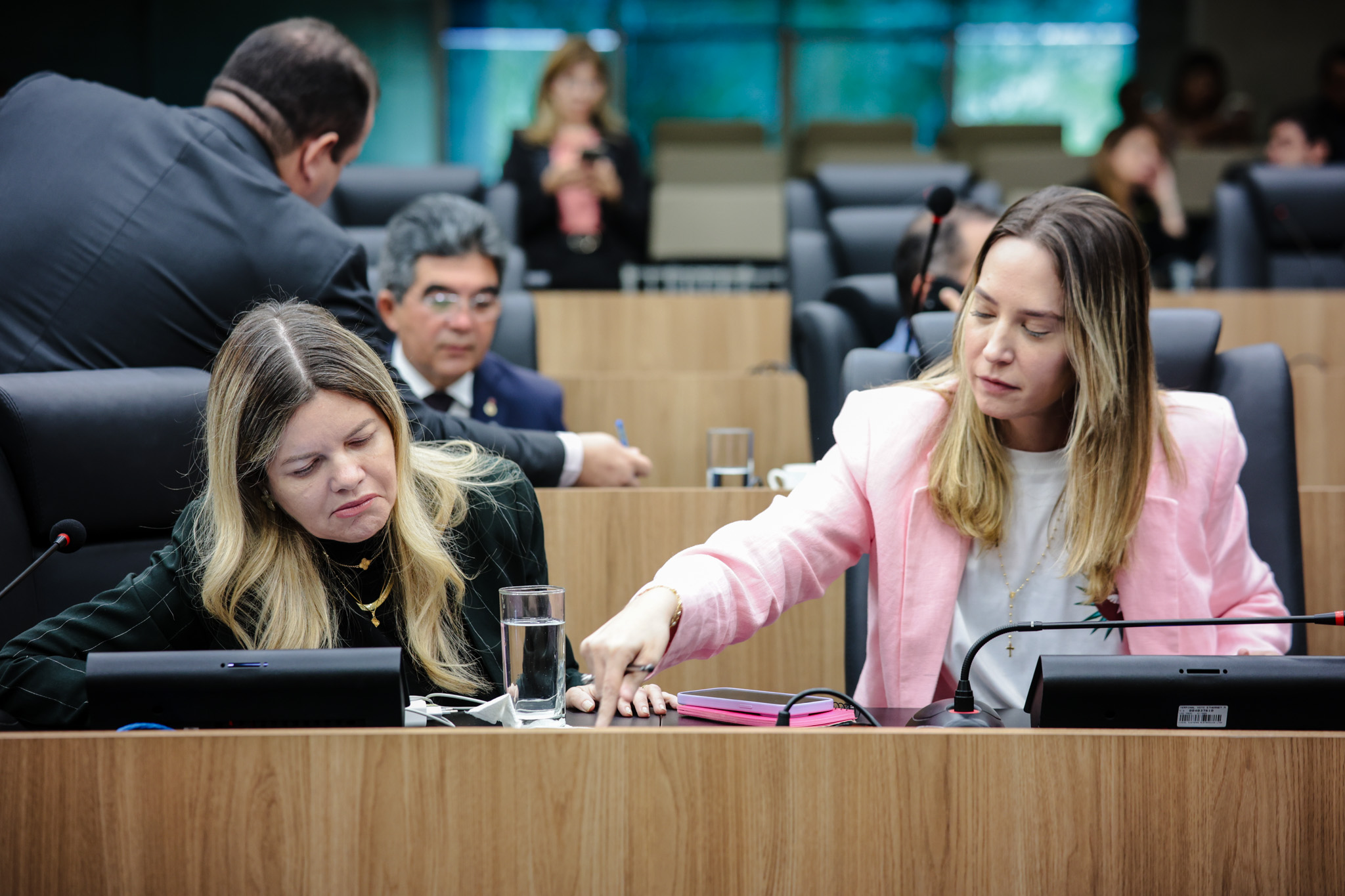 SESSÃO PLENÁRIA (6).jpg