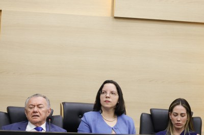 SESSÃO SOLENE TÍTULO DE CIDADANIA AO MINISTRO DO TCU JOÃO AUGUSTO RIBEIRO NARDES (36).jpg SESSÃO SOLENE TÍTULO DE CIDADANIA AO MINISTRO DO TCU JOÃO AUGUSTO RIBEIRO NARDES (36).jpg