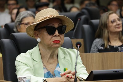 SESSÃO SOLENE EM HOMENAGEM AOS ENVOLVIDOS NA FEIRA DA LITERATURA PIAUIENSE FELIPI (11).jpg