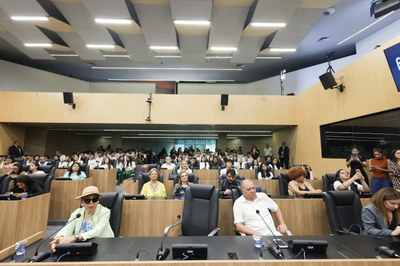 SESSÃO SOLENE EM HOMENAGEM AOS ENVOLVIDOS NA FEIRA DA LITERATURA PIAUIENSE FELIPI (17).jpg
