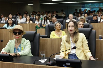 SESSÃO SOLENE EM HOMENAGEM AOS ENVOLVIDOS NA FEIRA DA LITERATURA PIAUIENSE FELIPI (21).jpg