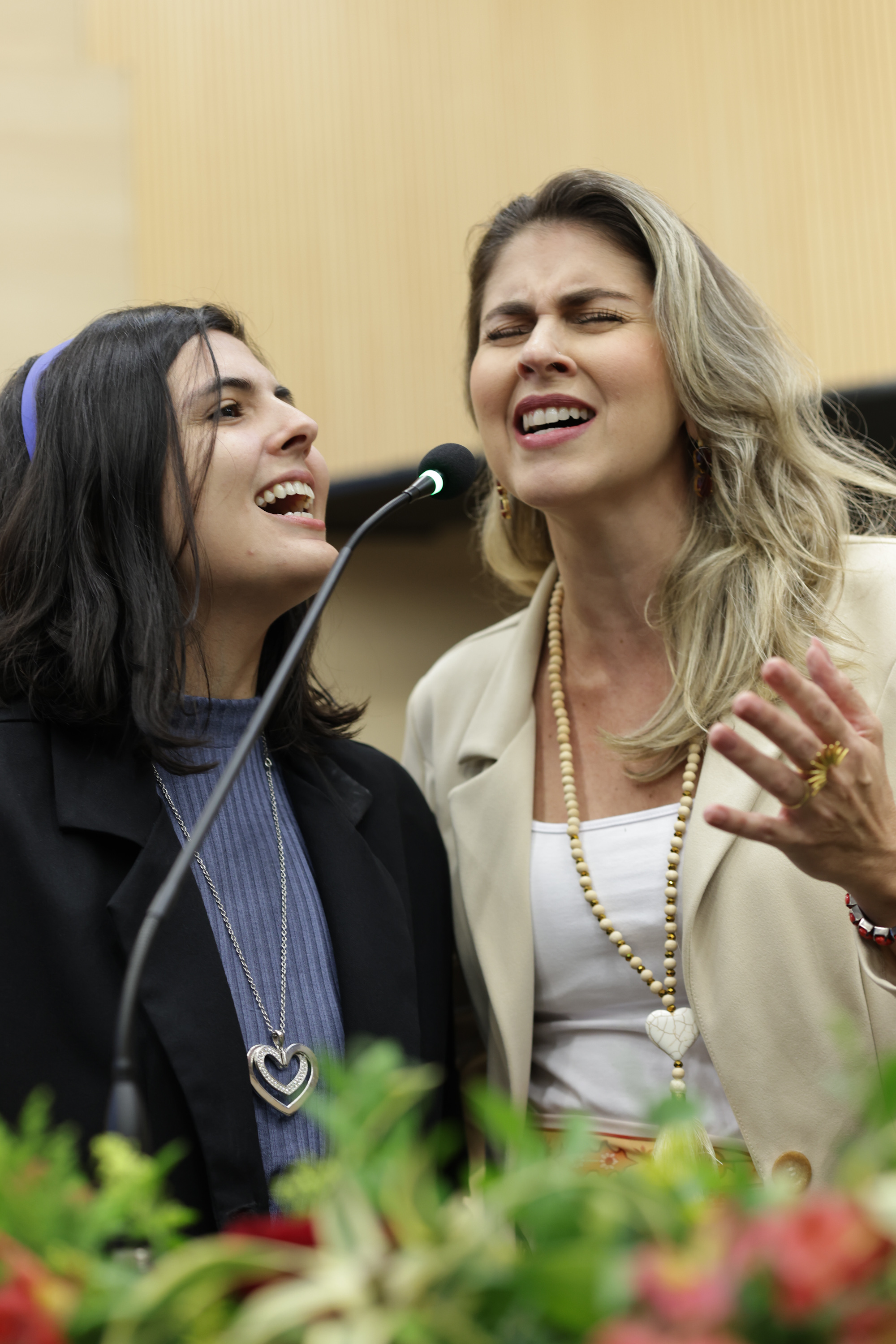 SESSÃO SOLENE EM HOMENAGEM AOS ENVOLVIDOS NA FEIRA DA LITERATURA PIAUIENSE FELIPI (7).jpg