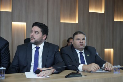 REUNIÃO COMISSÃO DE MEIO AMBIENTE (28).jpg