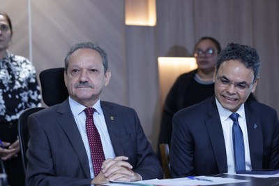 REUNIÃO COMISSÃO DE MEIO AMBIENTE (3).jpg