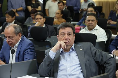 REUNIÃO COMISSÃO DE MEIO AMBIENTE (30).jpg