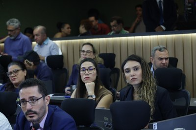 REUNIÃO COMISSÃO DE MEIO AMBIENTE (31).jpg