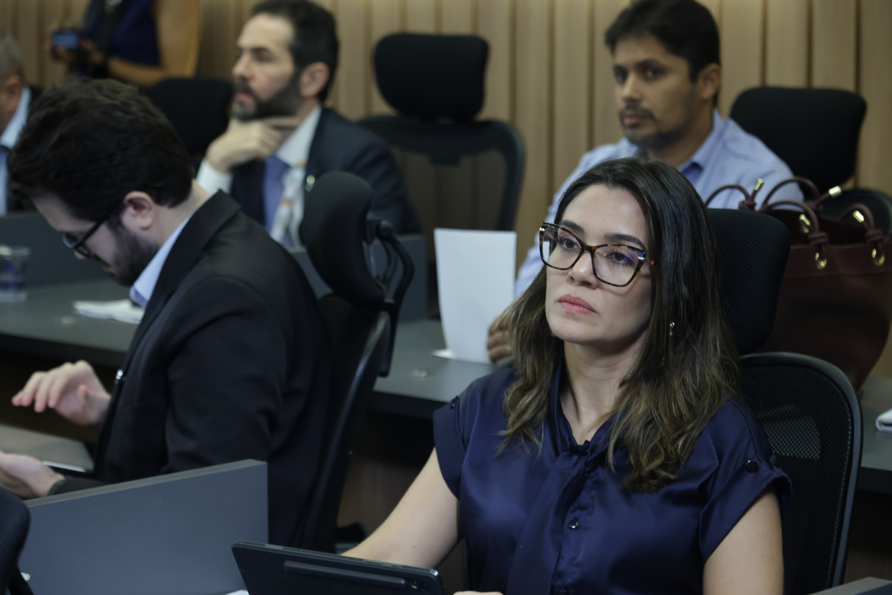 REUNIÃO COMISSÃO DE MEIO AMBIENTE (33).jpg