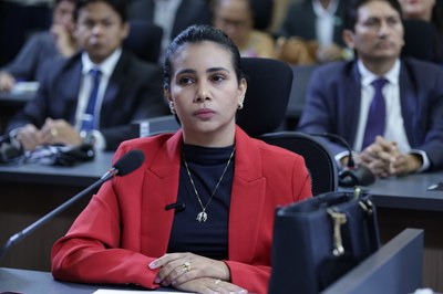 REUNIÃO COMISSÃO DE MEIO AMBIENTE (6).jpg