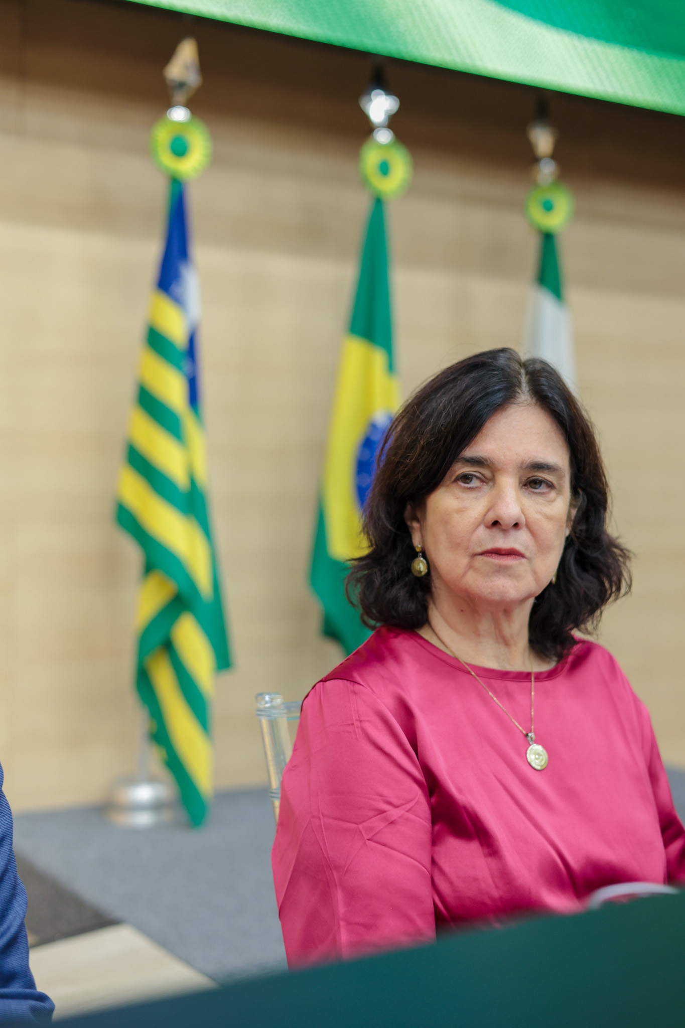 SESSÃO SOLENE DE TITULO DE CIDADANIA A EX MIN. NISIA TRINDADE  (13).jpg