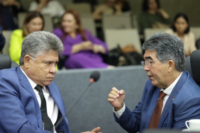 SESSÃO ORDINÁRIA  (233).jpg