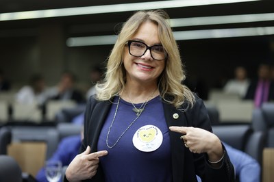 SESSÃO ORDINÁRIA  (250).jpg