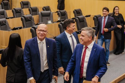 SESSÃO PENÁRIA 07.04 (10).jpg