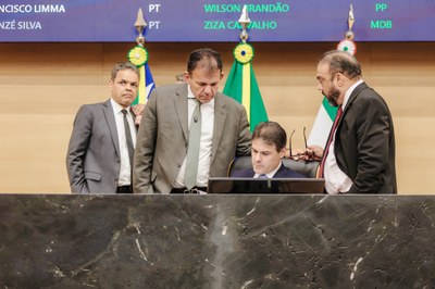 SESSÃO PLENÁRIA 08.04 (4).jpg