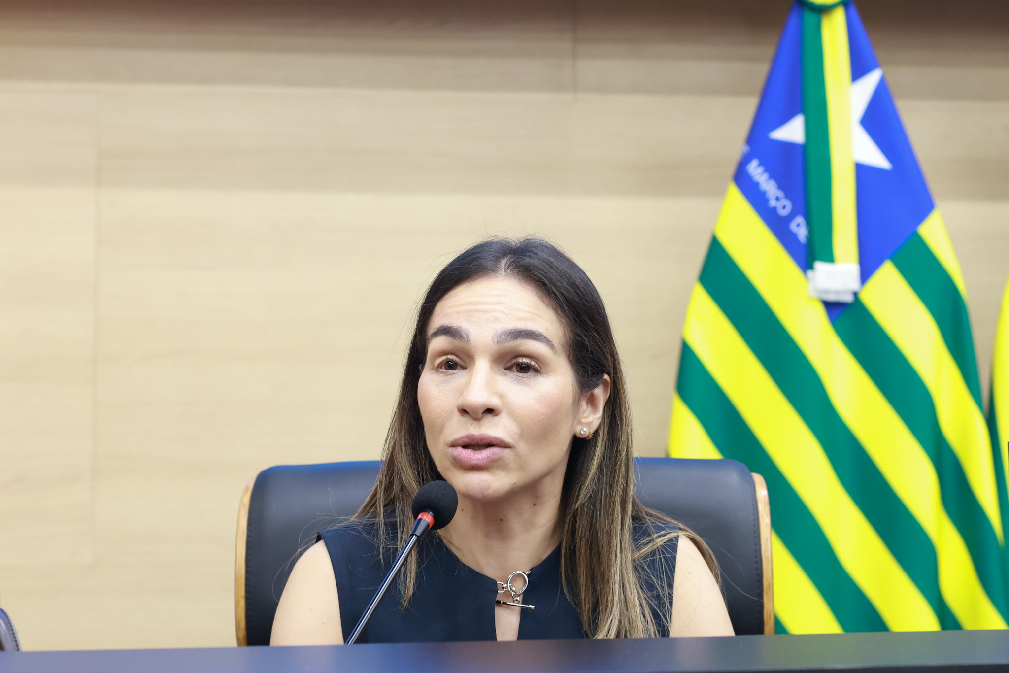  SESSÃO SOLENE PELO DIA MUNDIAL DE CONSCIENTIZAÇÃO SOBRE O AUTISMO - FOTO REGIS FALCÃO ASCOM ALEPI (6).jpg