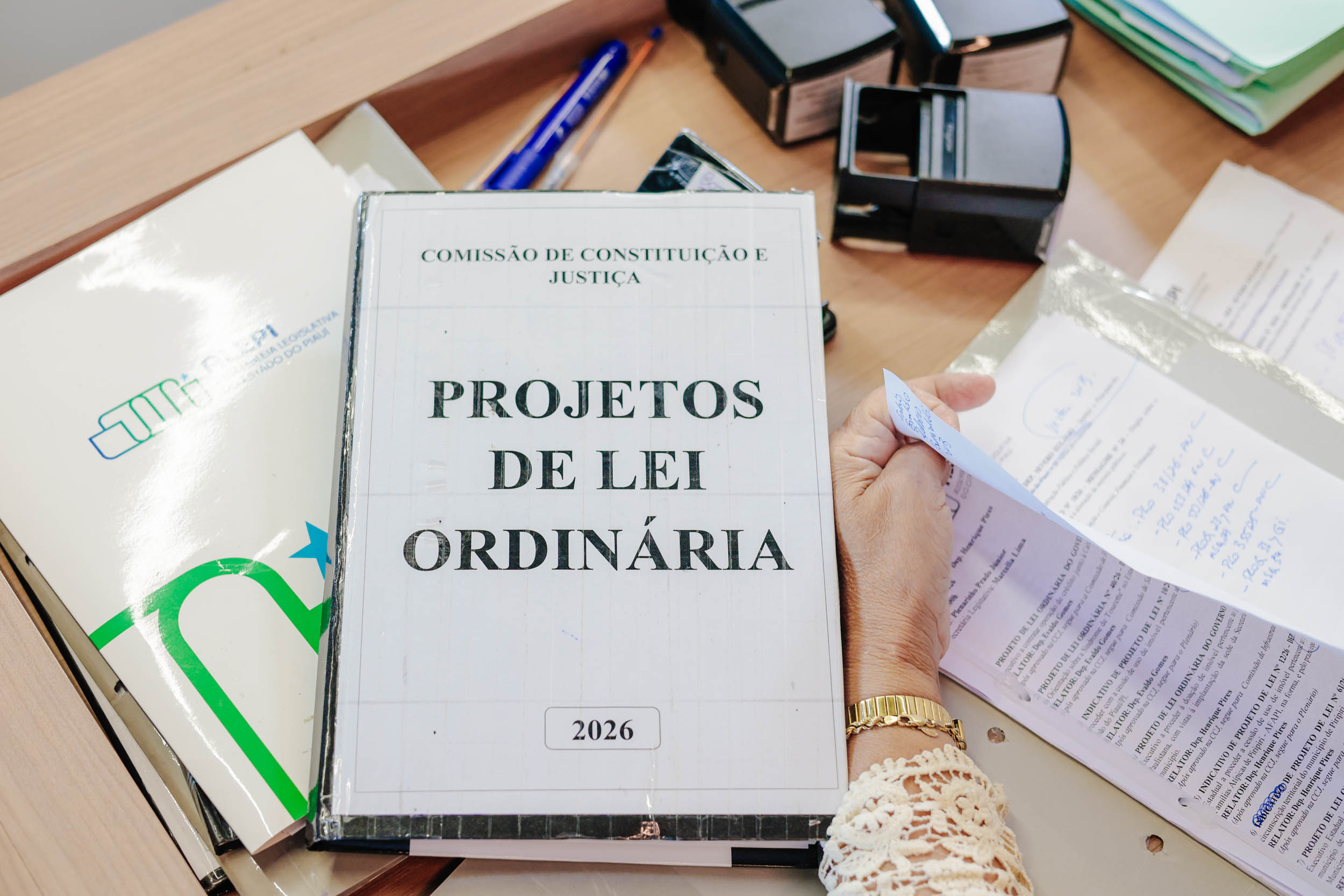 COMISSÃO DE CONSTITUIÇÃO E JUSTIÇA (20).jpg