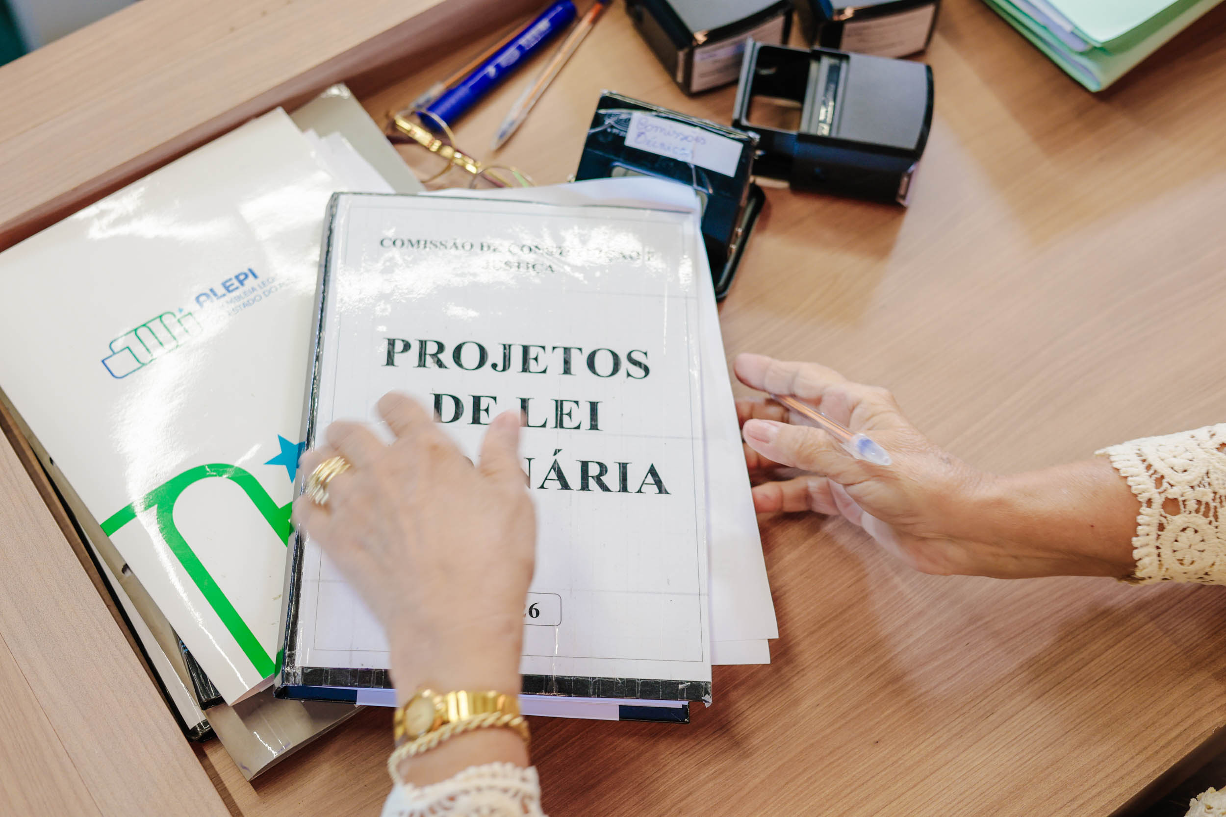 COMISSÃO DE CONSTITUIÇÃO E JUSTIÇA (21).jpg