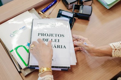 COMISSÃO DE CONSTITUIÇÃO E JUSTIÇA (21).jpg