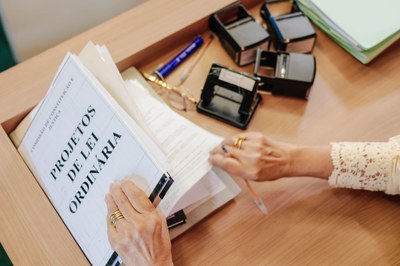 COMISSÃO DE CONSTITUIÇÃO E JUSTIÇA (22).jpg