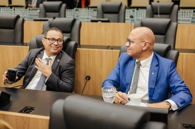 SESSÃO PLENÁRIA 14.04 (2).jpg