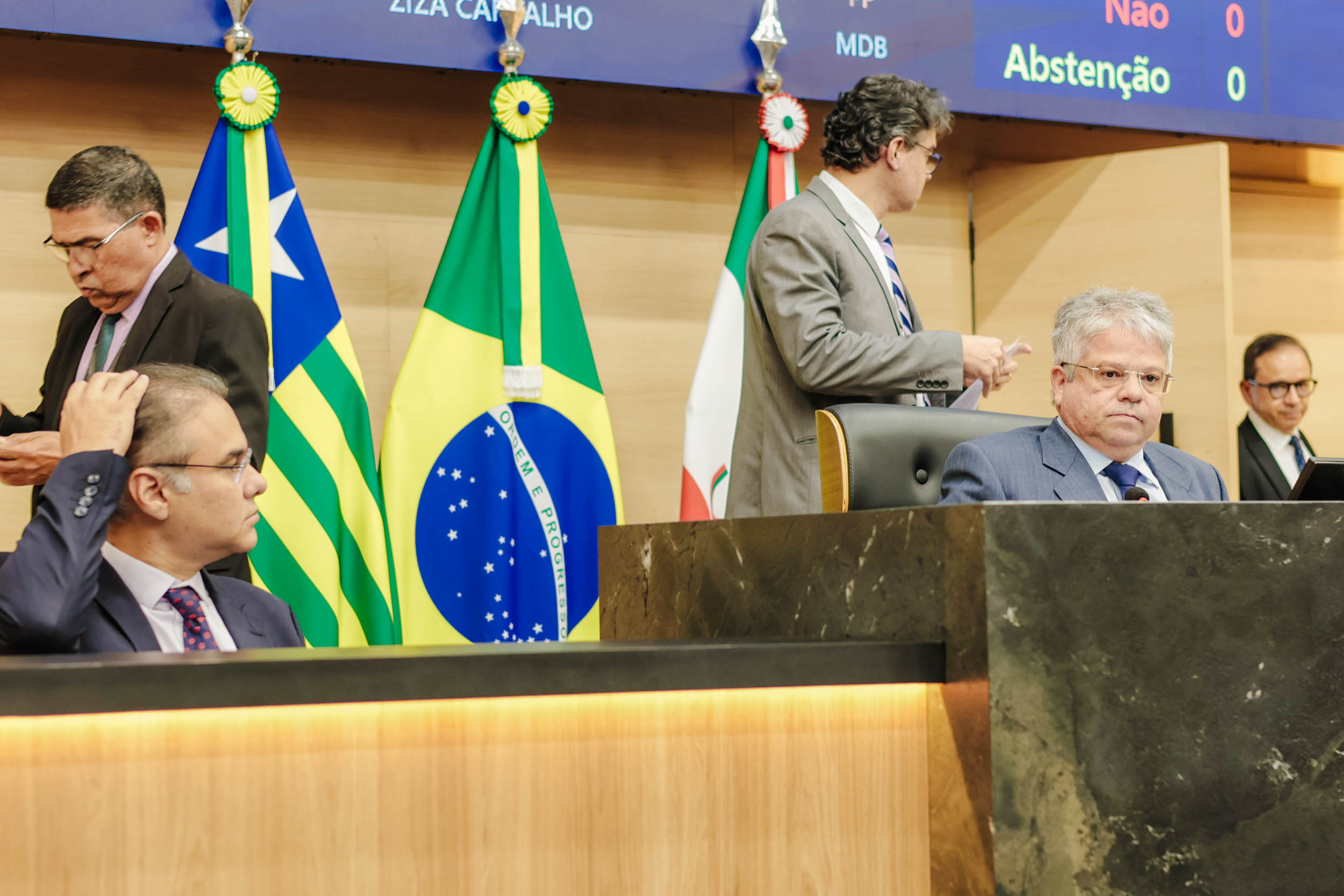 SESSÃO PLENÁRIA 15.04 (12).jpg