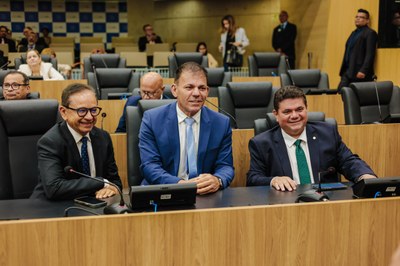 SESSÃO PLENÁRIA 15.04 (15).jpg