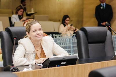 SESSÃO PLENÁRIA 15.04 GRACINHA MÃO SANTA.jpg