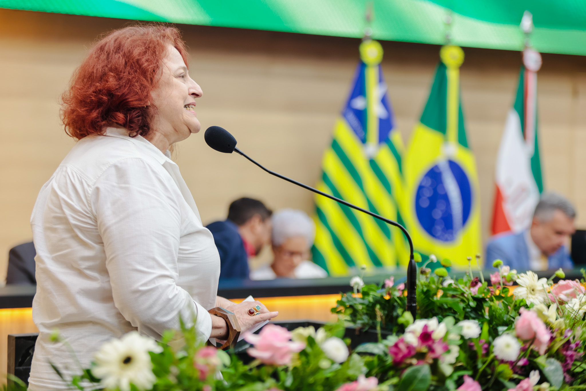 TITULO DE CIDADANIA A SRA INES MAGALHÃES (50).jpg