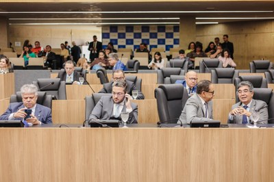 SESSÃO PLENÁRIA 28.04.2026 THIAGO AMARAL - ALEPI (9).jpg