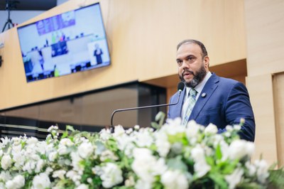 SESSÃO PLENÁRIA 03 ZIZA CARVALHO.jpg