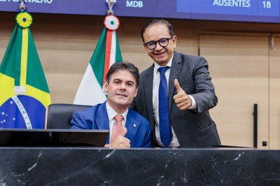 SESSÃO PLENÁRIA (2).jpg