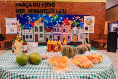 FEIRA DA SERVIDORA EMPREEDENDORA - FOTOS THIAGO AMARAL ALEPI (8).jpg