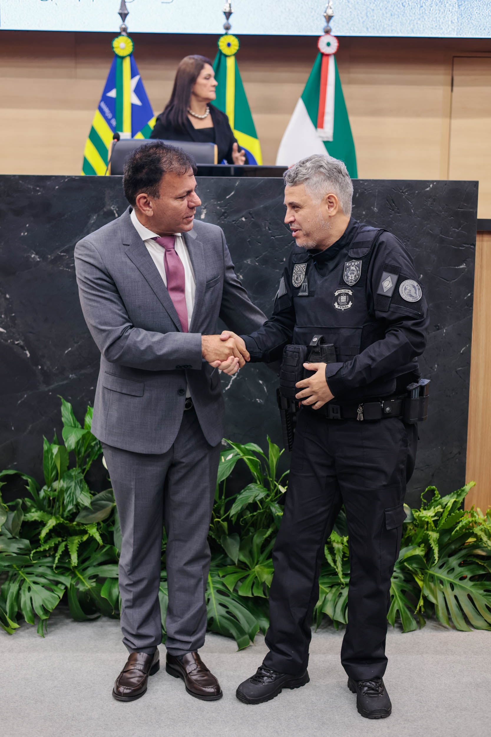 ENTREGA MEDALHA MÉRITO LEGISLATIVO (45).jpg