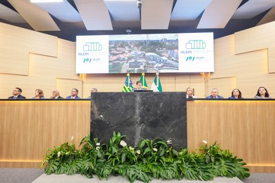 ENTREGA MEDALHA MÉRITO LEGISLATIVO (71).jpg