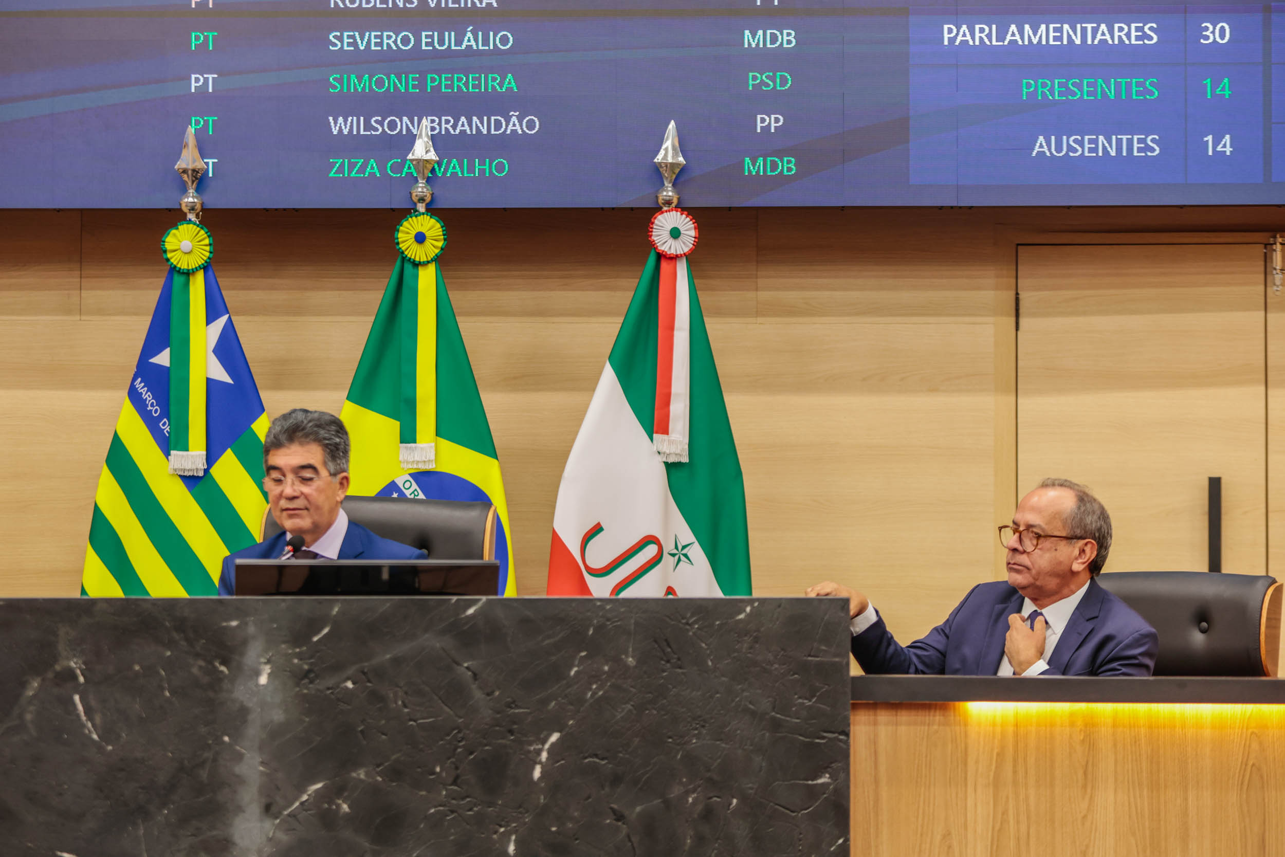 SESSÃO PLENÁRIA 07.05 (5).jpg