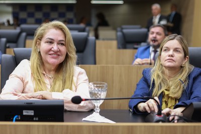 SESSÃO PLENÁRIA - FOTOS REGIS FALCÃO ASCOM ALEPI (82).jpg