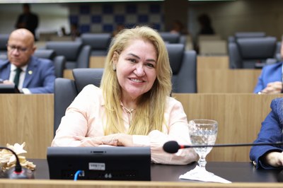 SESSÃO PLENÁRIA - FOTOS REGIS FALCÃO ASCOM ALEPI (83).jpg