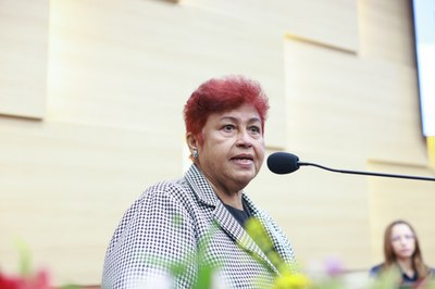  SESSÃO SOLENE EM HOMENAGEM À SEMANA DA ENFERMAGEM - FOTOS REGIS FALCÃO ASCOM ALEPI (12).jpg