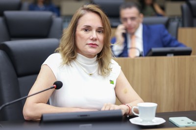 SESSÃO PLENÁRIA - FOTOS REGIS FALCÃO ASCOM ALEPI (99).jpg