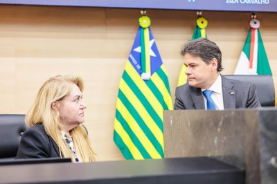 SESSÃO PLENÁRIA 14.05 (2).jpg