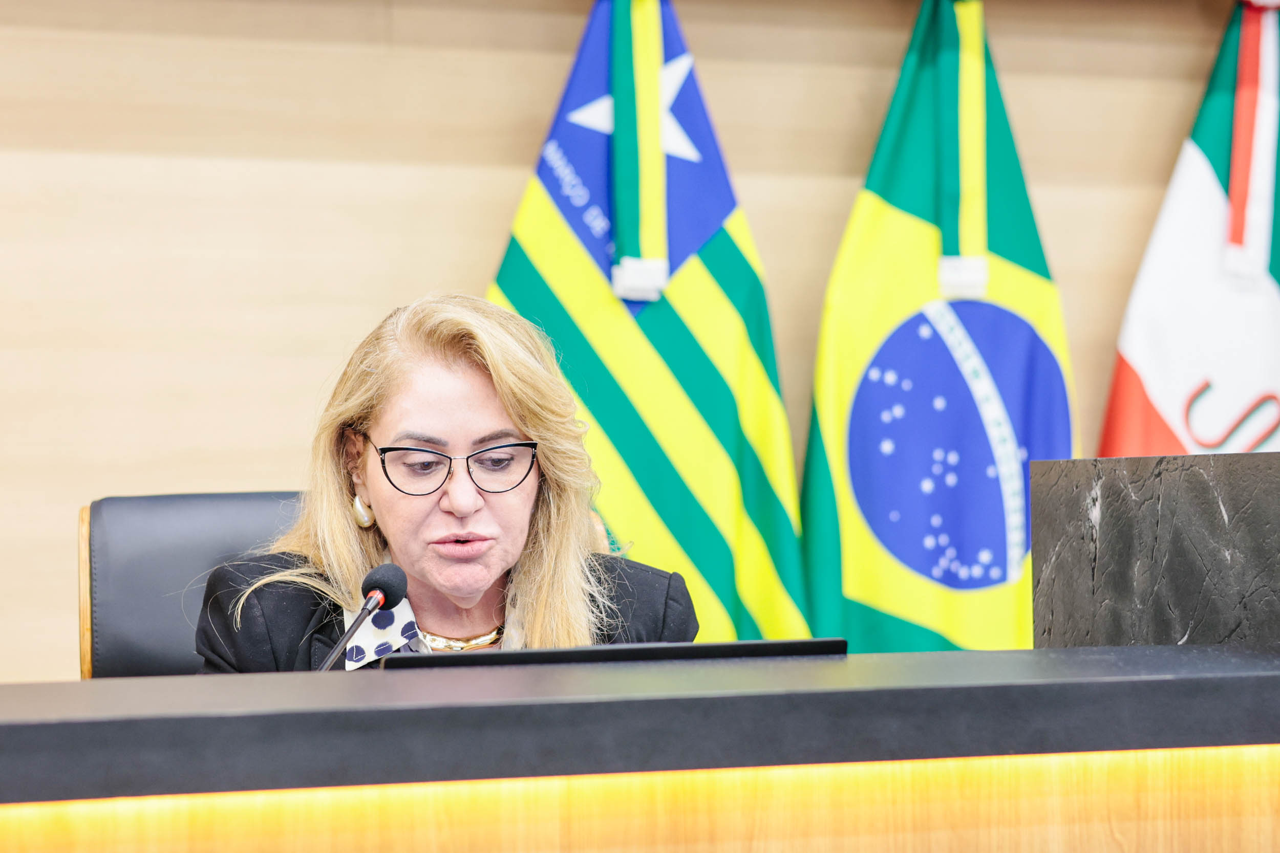 SESSÃO PLENÁRIA 14.05 (4).jpg