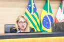 SESSÃO PLENÁRIA 14.05 (4).jpg