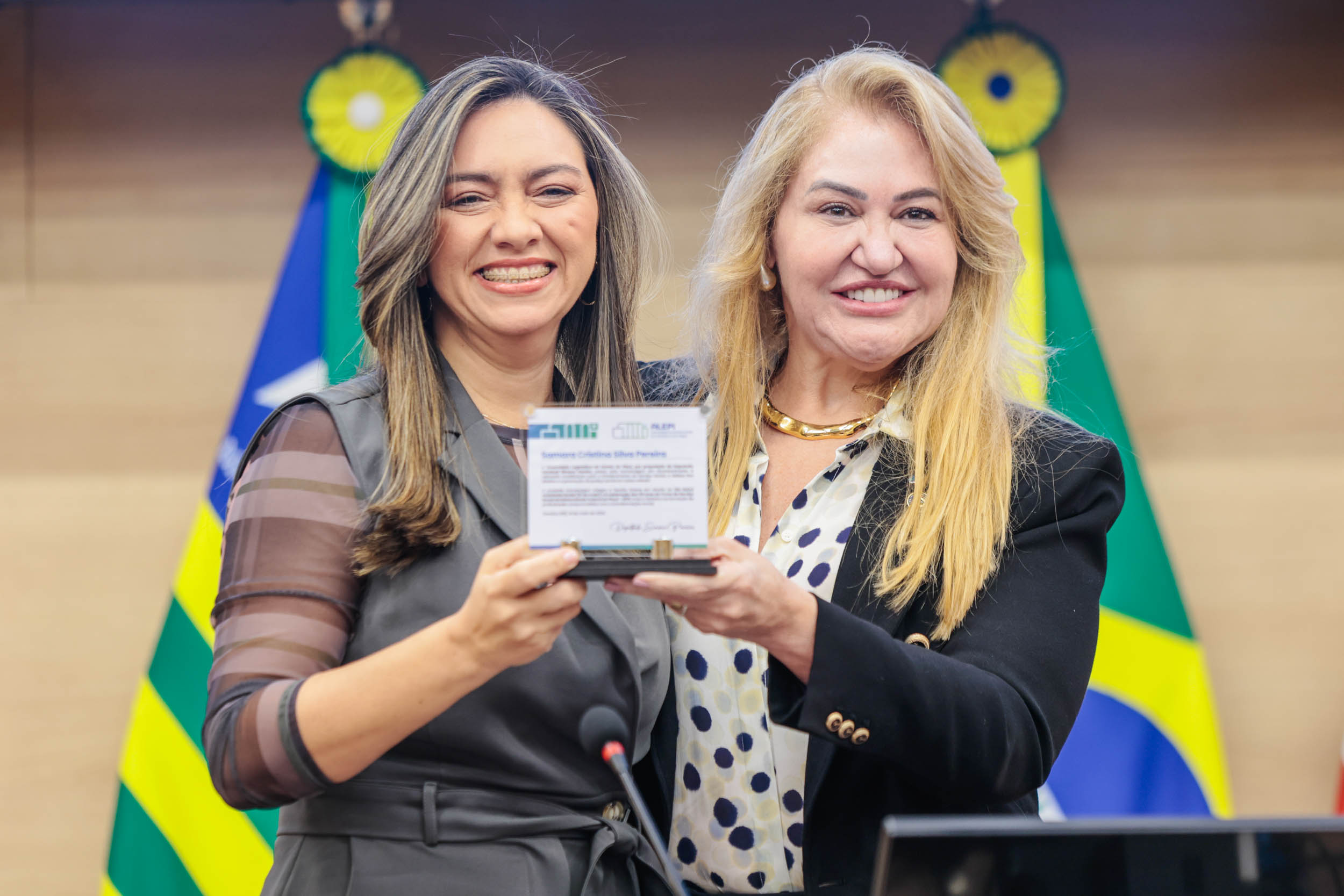 SESSÃO SOLENE DIA DO ASSISTENTE SOCIAL - FOTOS THIAGO AMARAL - ALEPI (39).jpg
