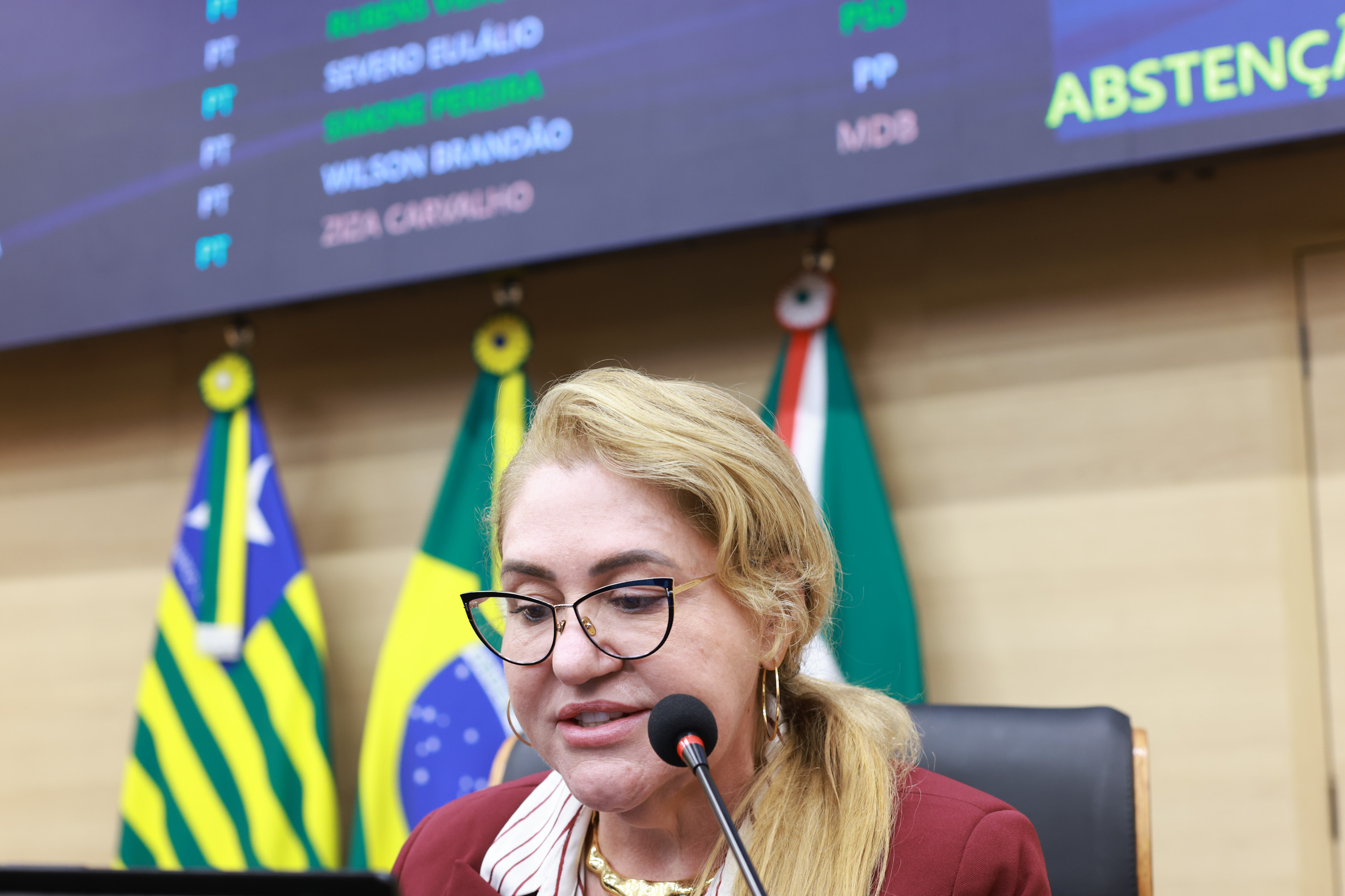 SESSÃO ORDINÁRIA  (304).jpg