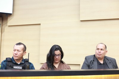  SESSÃO SOLENE EM HOMENAGEM AO GRUPO RESPONSAVEL PELO UFP -  FOTOS REGIS FALCAO ASCOM ALEPI (13).jpg
