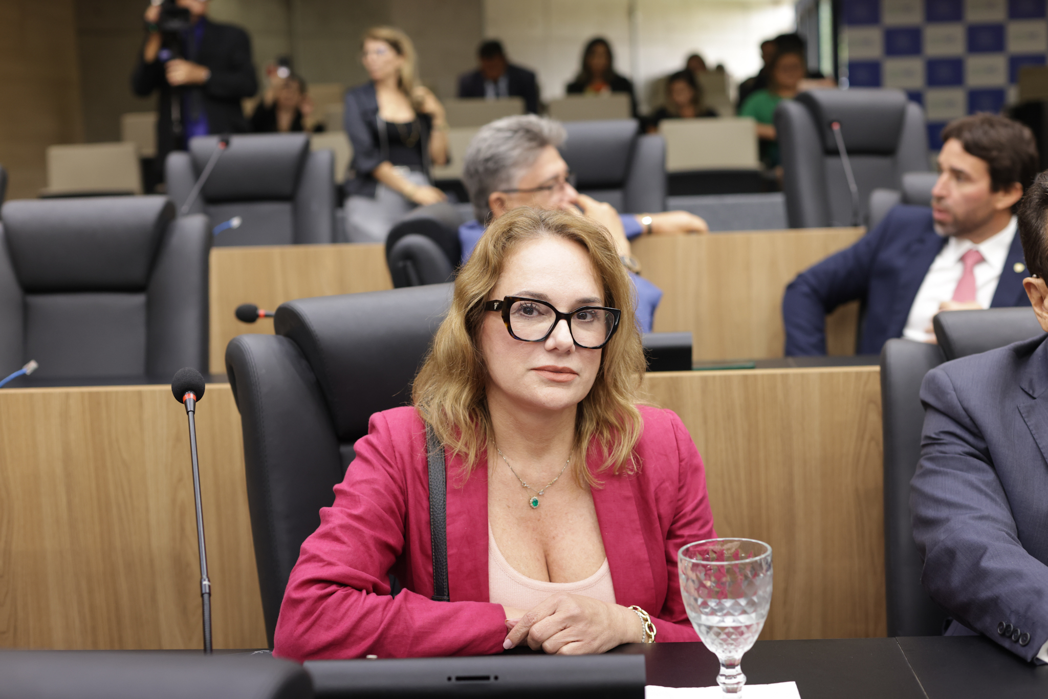 SESSÃO PLENÁRIA  - FOTOS  REGIS FALCÃO ASCOM ALEPI (20).jpg