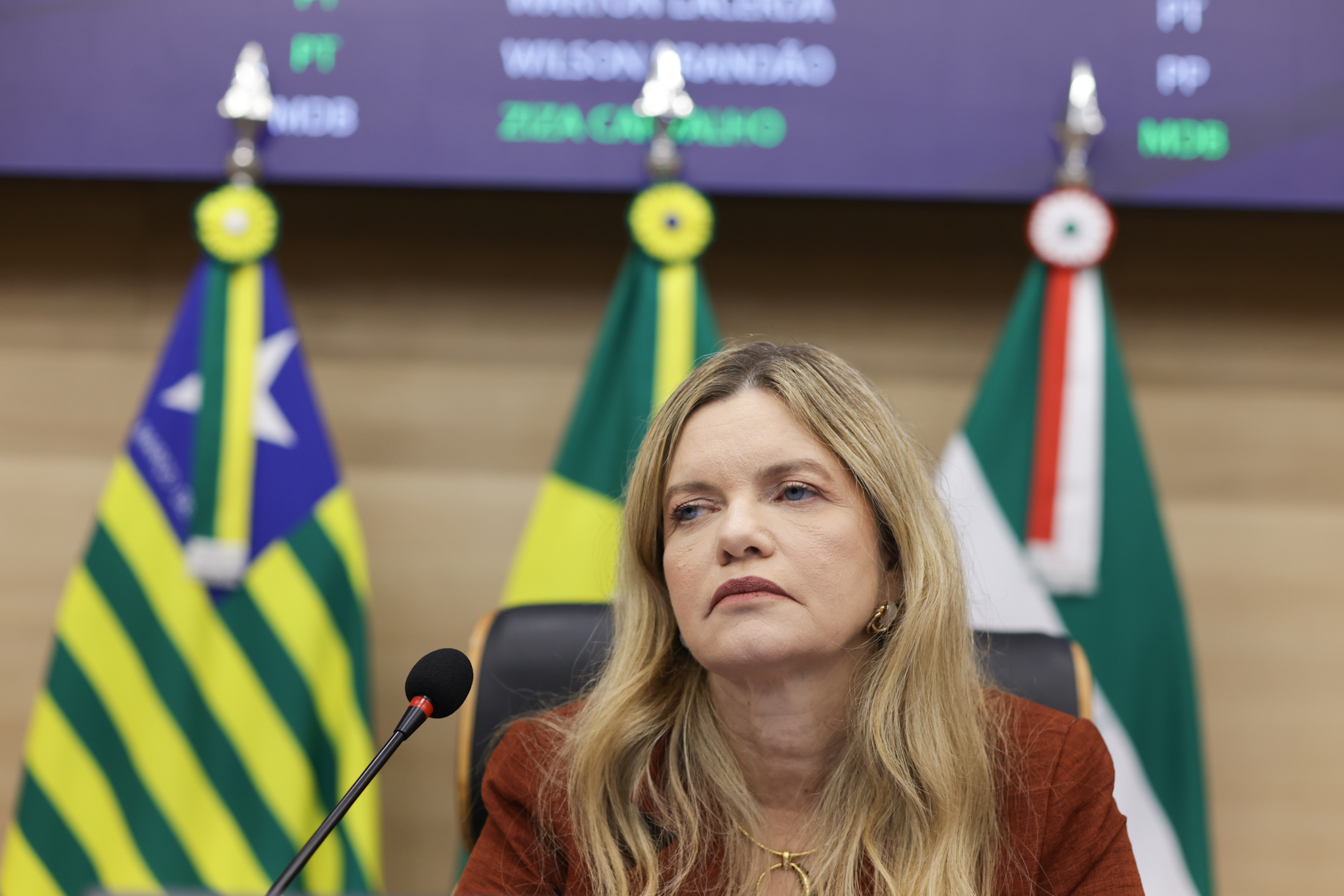 SESSÃO PLENÁRIA - REGIS FALCÃO ASCOM ALEPI (3).jpg