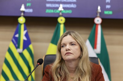 SESSÃO PLENÁRIA - REGIS FALCÃO ASCOM ALEPI (3).jpg