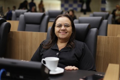 SESSÃO PLENÁRIA - REGIS FALCÃO ASCOM ALEPI (7).jpg