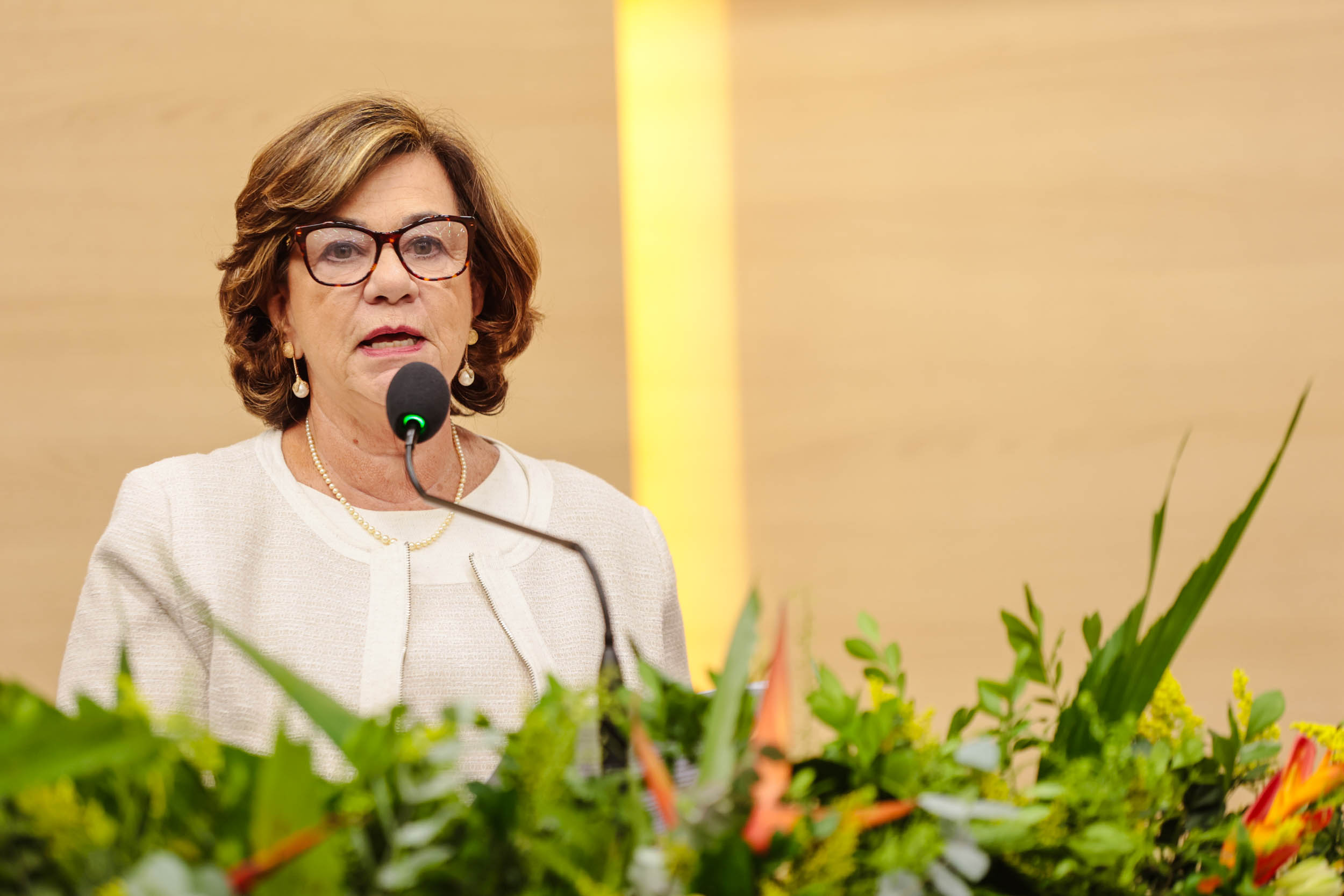 TÍTULO DE CIDADANIA PIAUIENSE JAMIL ROSA, PEDRO BRAGA E MARIA DO CARMO CARDOSO - FOTOS THIAGO AMARAL (49).jpg